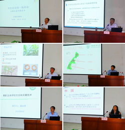 技術推廣服務中心 推動技術創(chuàng)新與產(chǎn)業(yè)升級的重要平臺