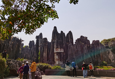 云南石林景區恢復開放 重開首日安全有序