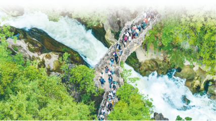 以園區為支點，精準服務與融入新發展格局